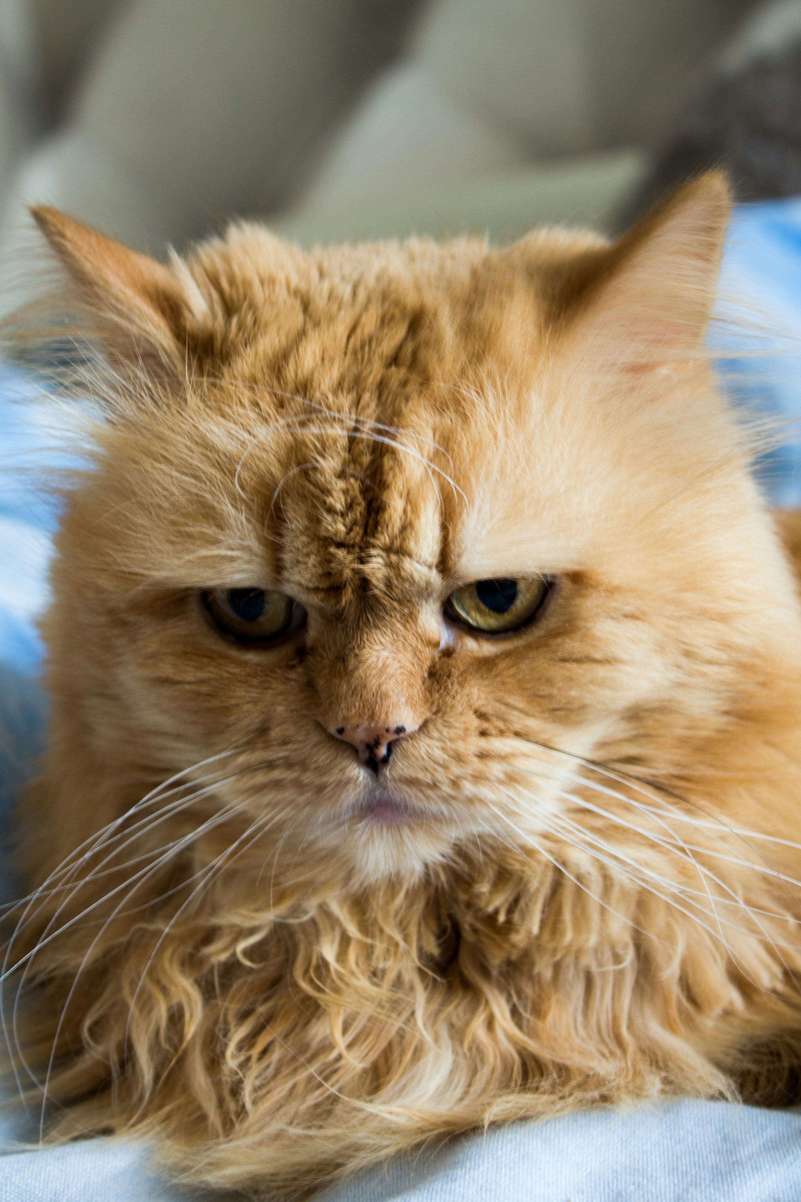 Photo by ritoshka_samara