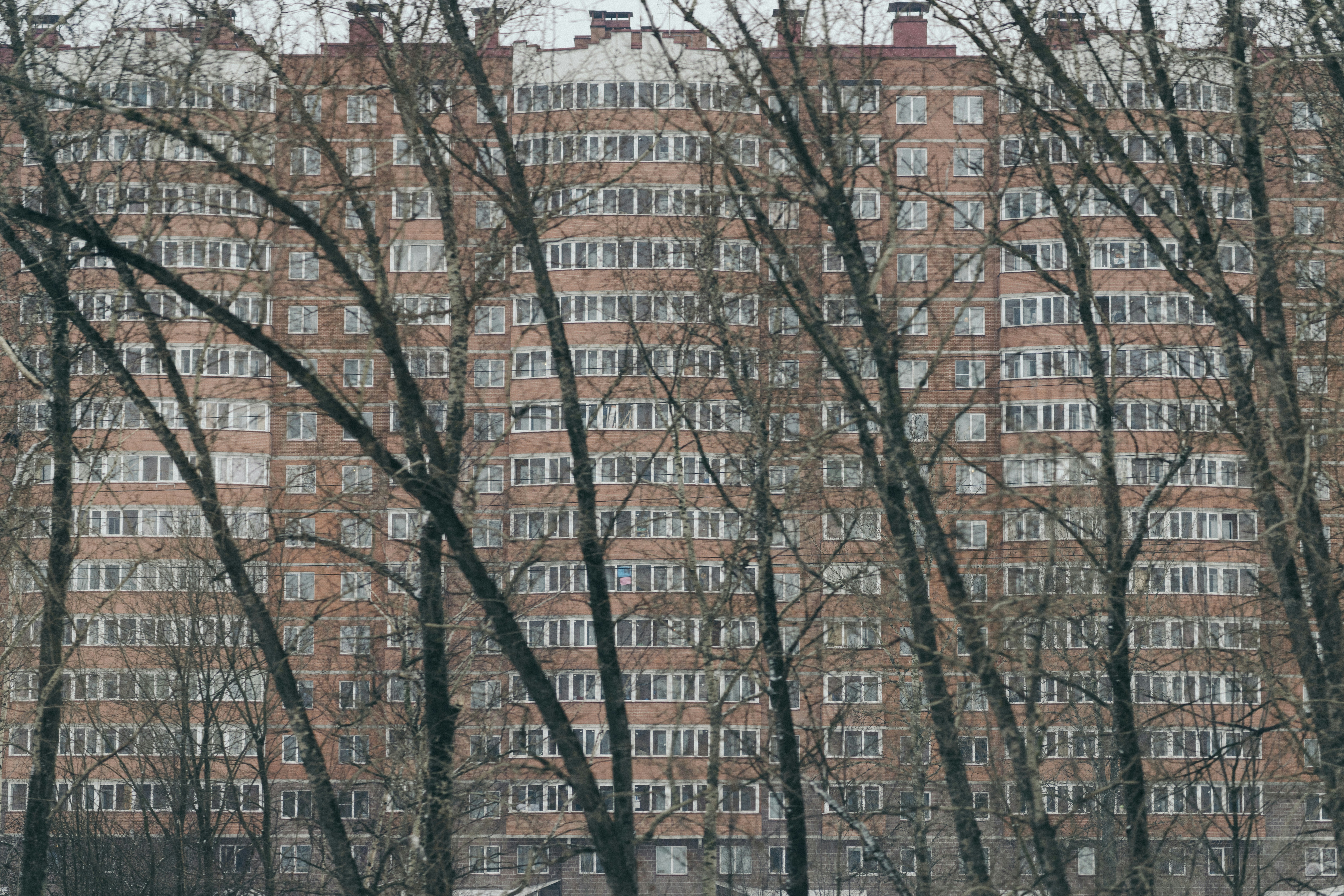 bare trees near brown concrete building during daytime, Block. Stalinist architecture, mostly known in the former Eastern Bloc as Stalinist Empire style or Socialist Classicism, is a term given to architecture of the Soviet Union