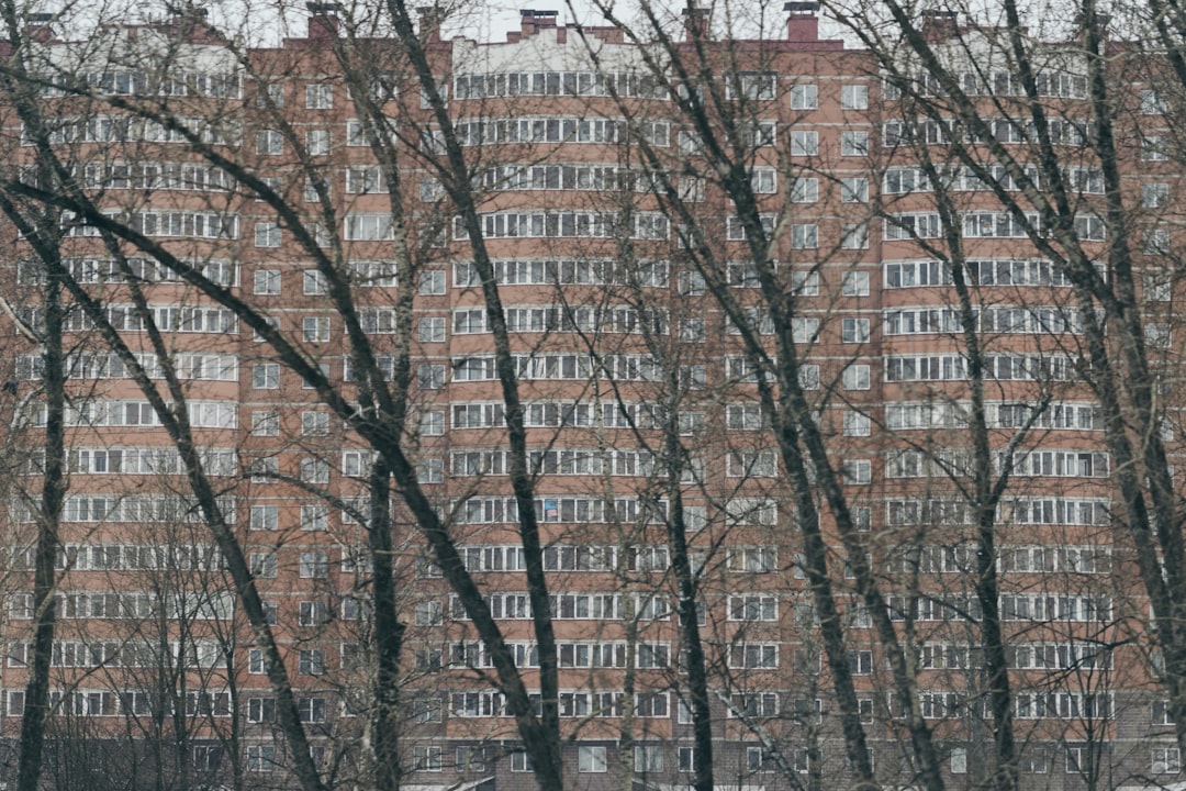 The Romanov Remembrances Exploring StPetersburg's Imperial Legacy… — The Romanov Remembrances Exploring St Petersburg's
