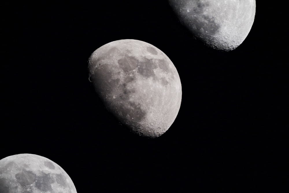 white and gray moon in black background