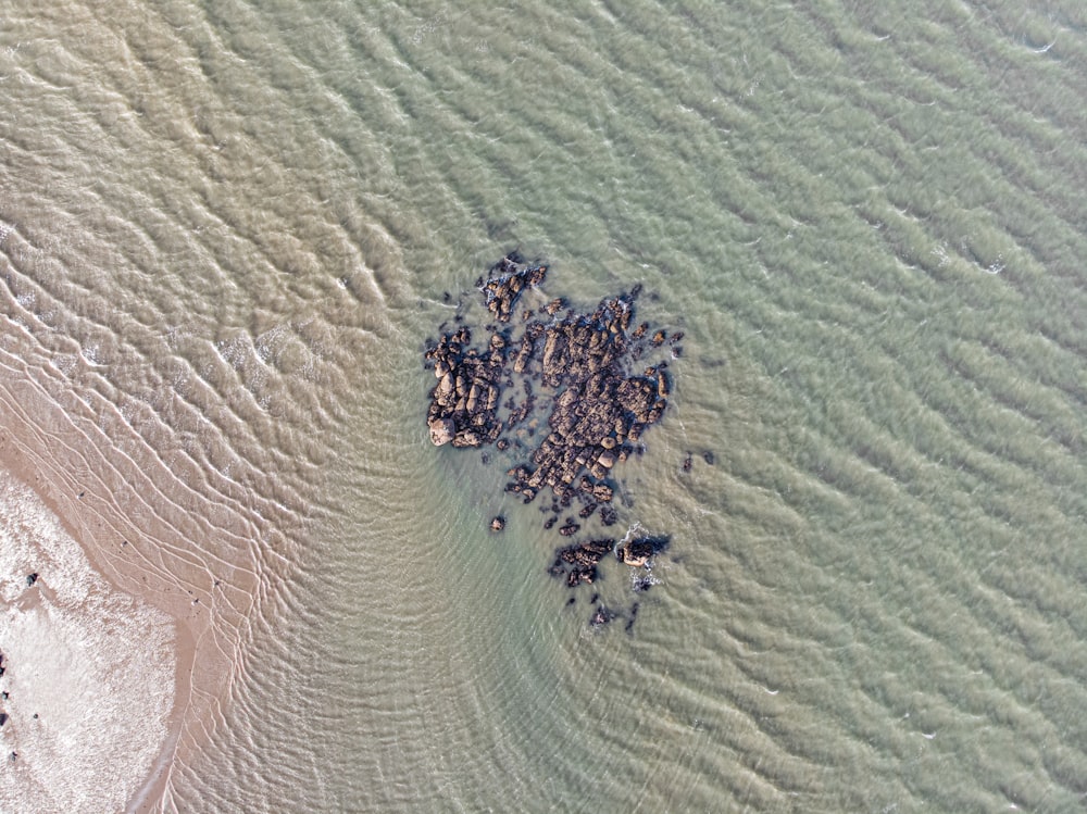 aerial view of sea during daytime