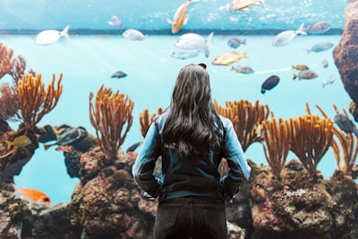 woman in black jacket and blue denim jeans standing on brown rock bermuda google meet background