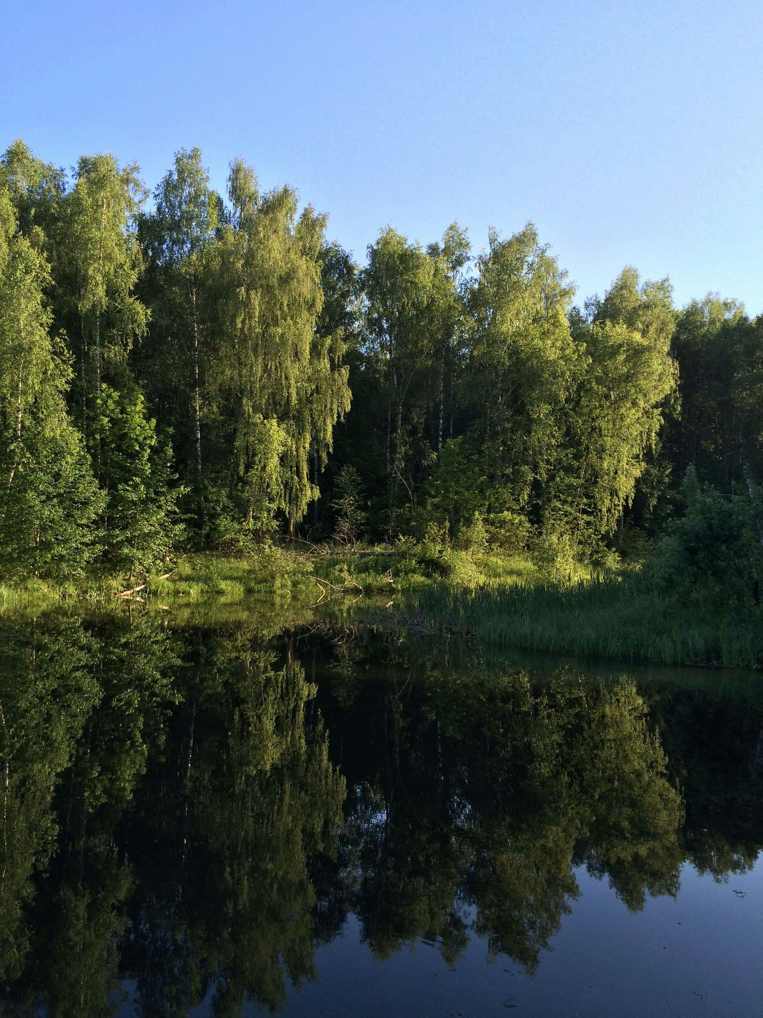 Photo by ahhaxeh
