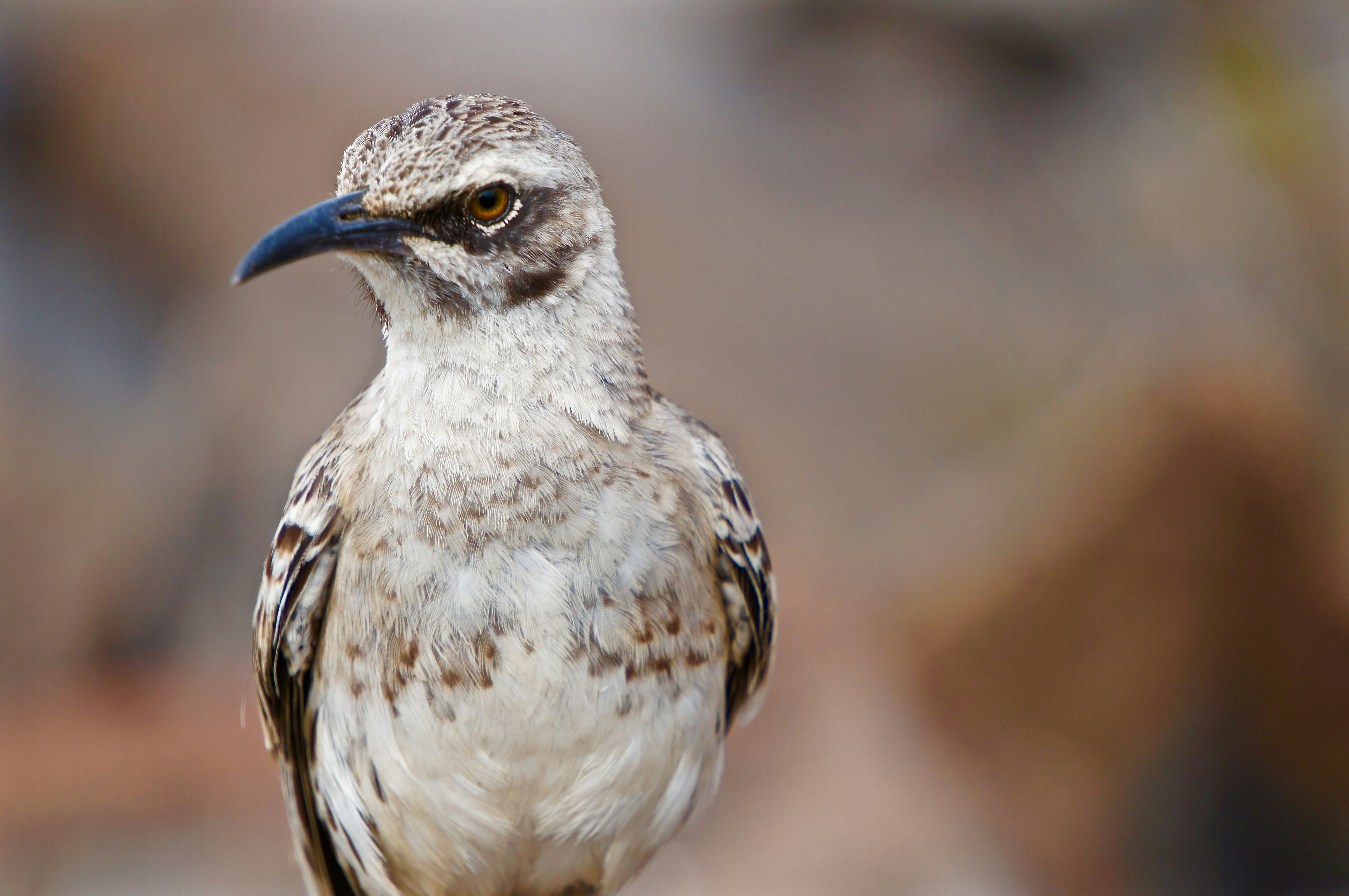 Photo by mackenziejcruz