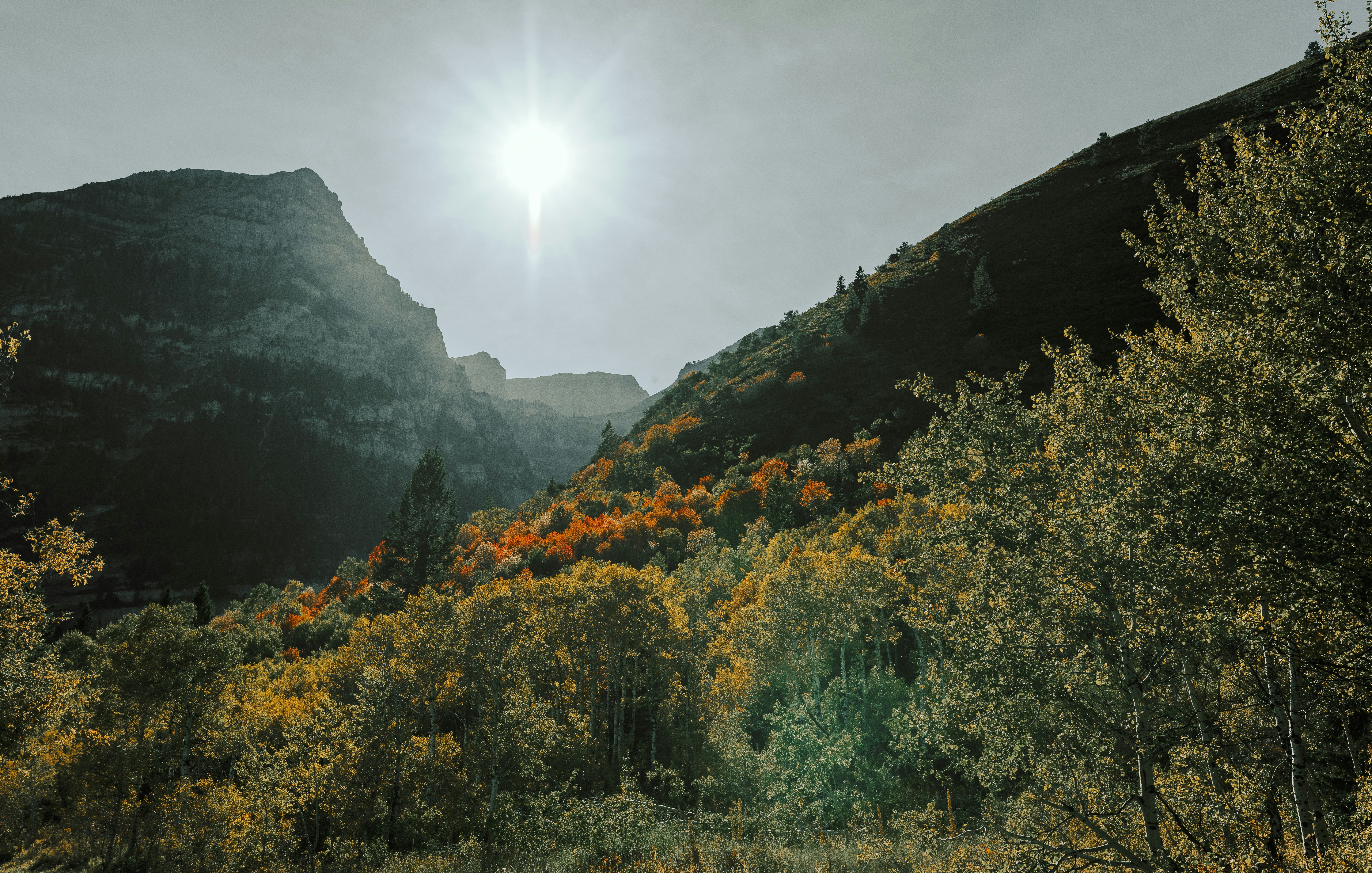 Cover Image for Life Science Hikers - Boston Edition - October Hike