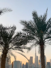 Modern Miami skyline at sunset with luxury condos and palm trees.