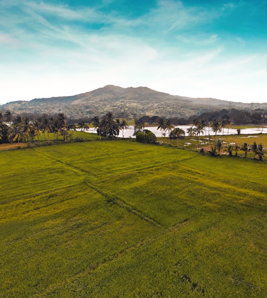 green grass field near mountain under blue sky during daytime in Batangas Philippines