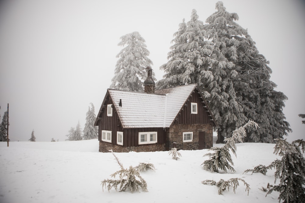 a house in the middle of a snowy field