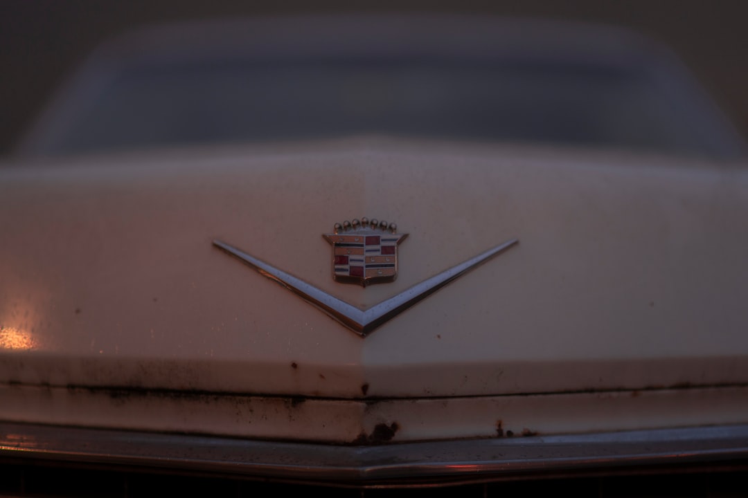 silver and black car emblem