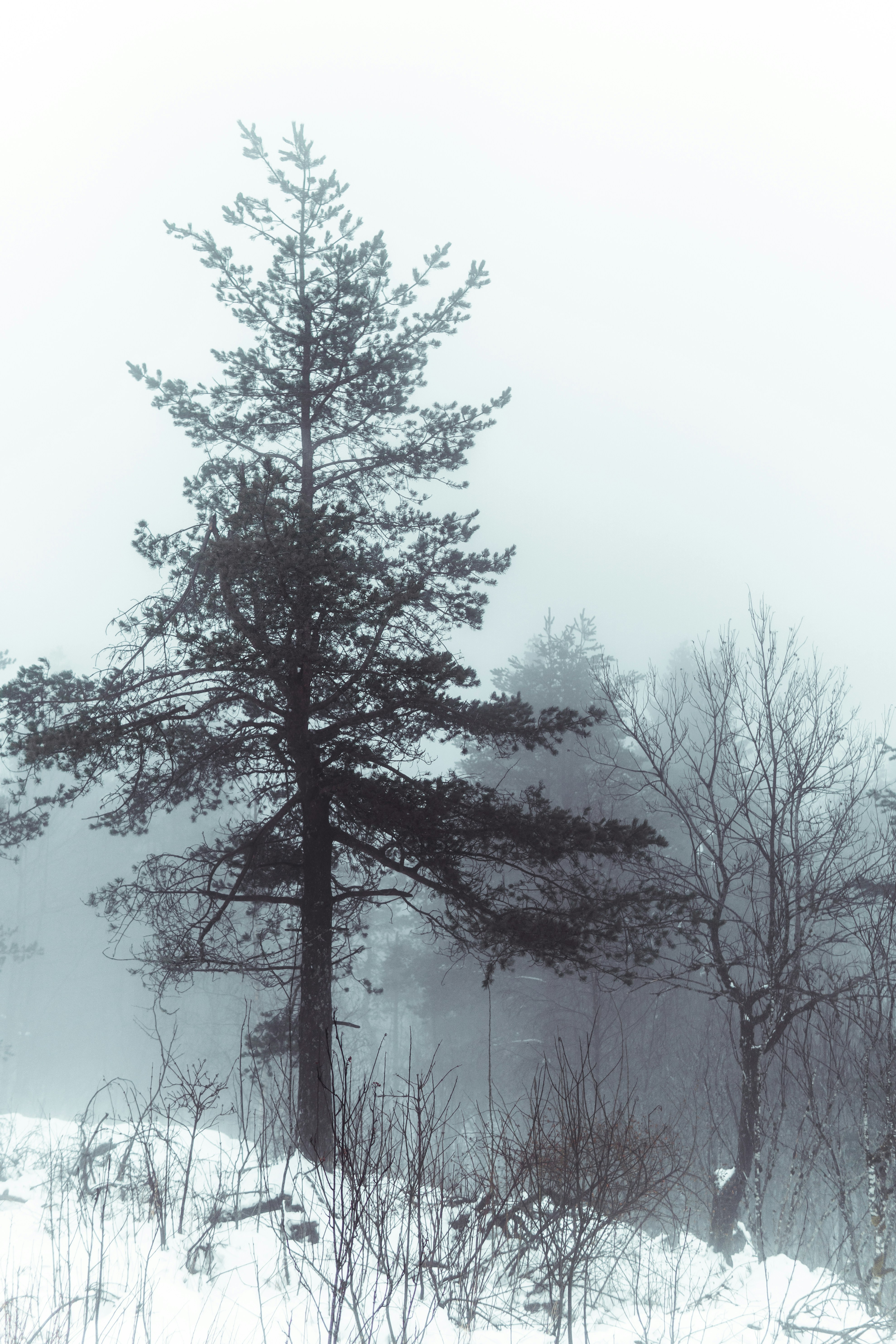 Photo by jeancarloemer