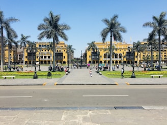 people walking on sidewalk near palm trees during daytime