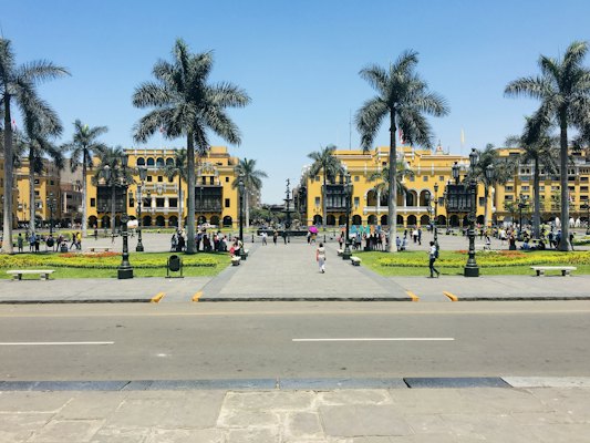 People walking on sidewalk near palm trees during daytime — Lima, Peru