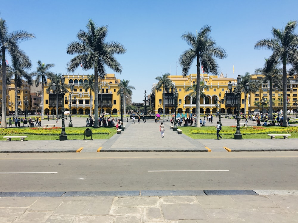 people walking on sidewalk near palm trees during daytime