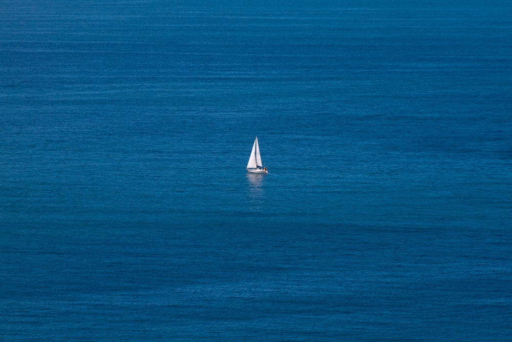 昼間の青い海に浮かぶ白い帆船