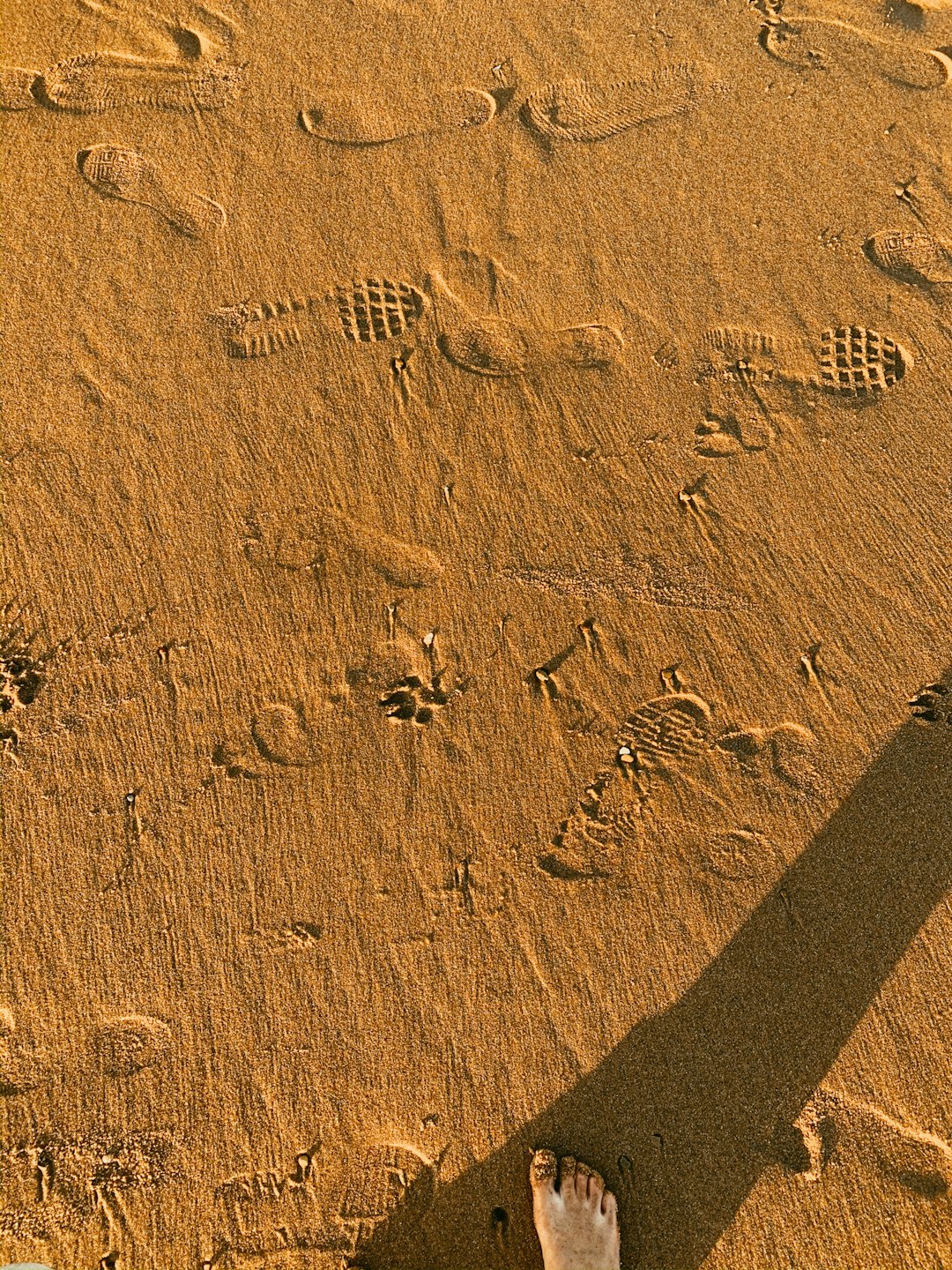 brown sand with foot prints