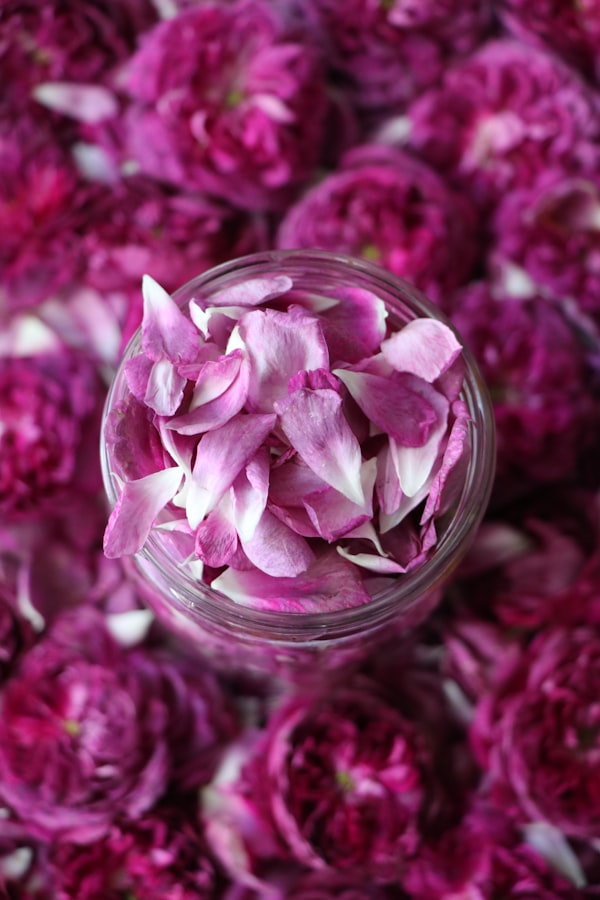 Blooming Love: A Gentle Rose Petal Jojoba Infusion