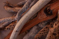 A detailed shot of textured materials and natural elements used in the creation of Bracara Arts pieces.