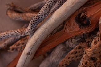 A detailed shot of textured materials and natural elements used in the creation of Bracara Arts pieces.