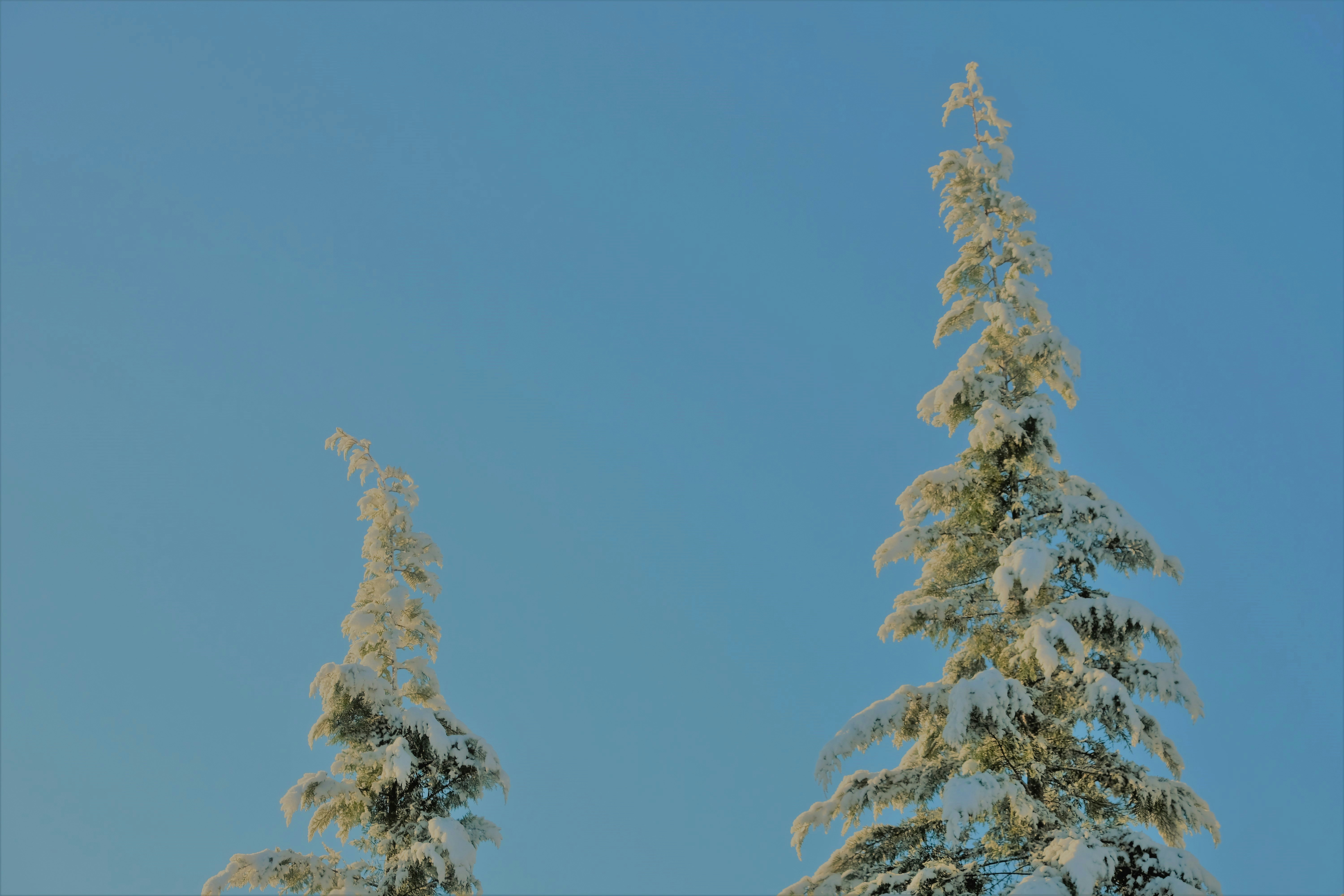 Photo by octoberfalling