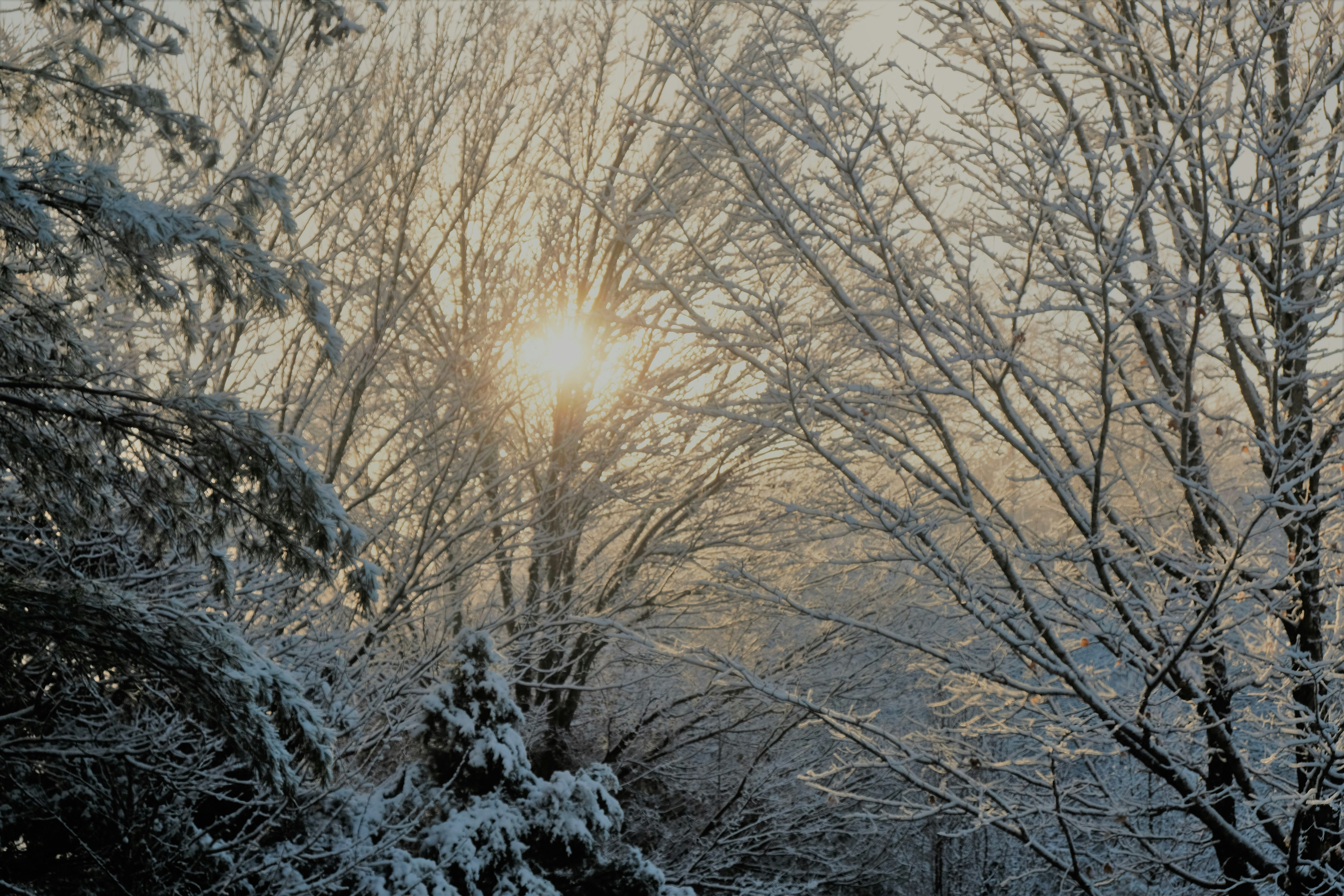 Photo by octoberfalling