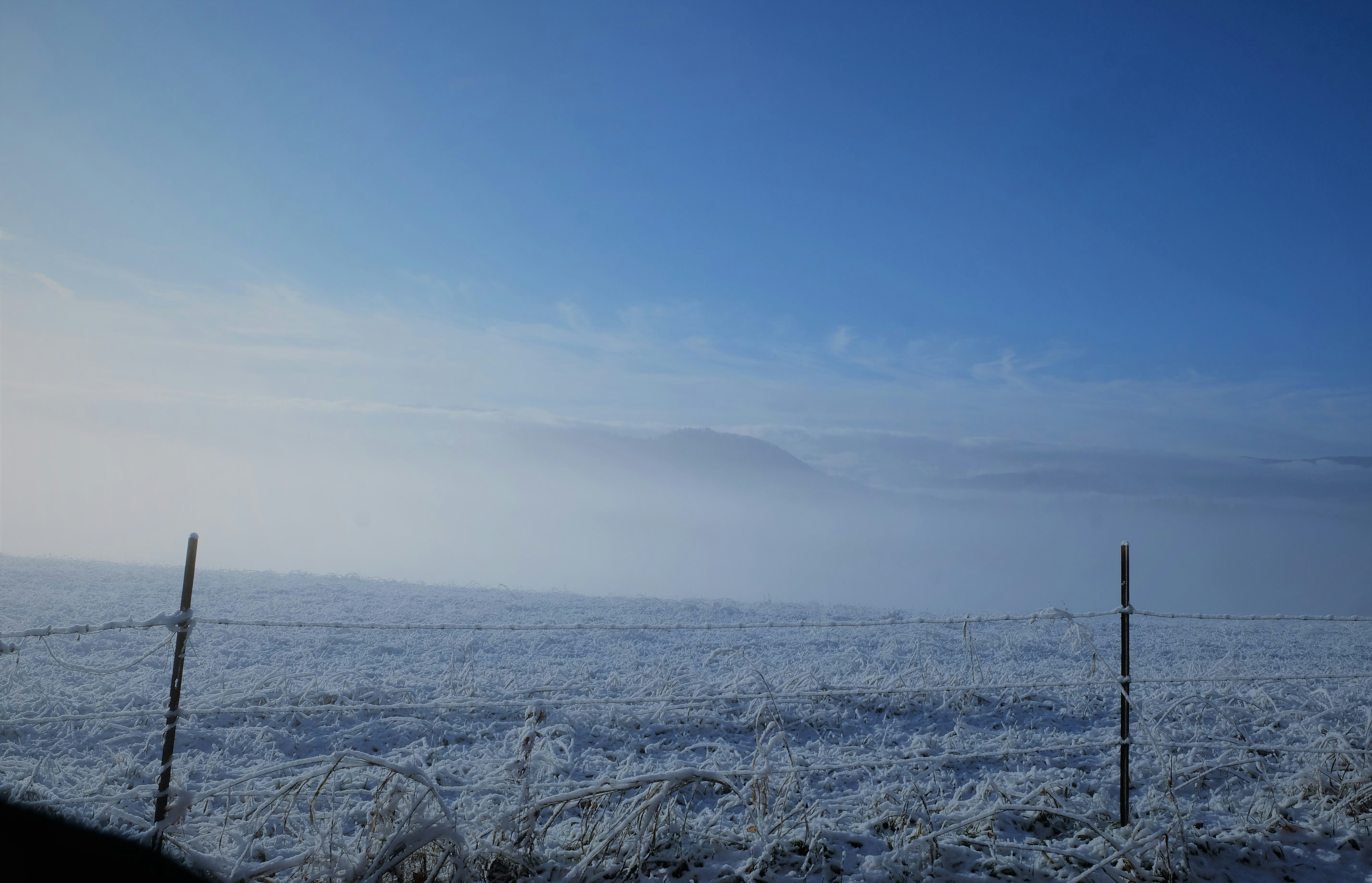 Photo by octoberfalling