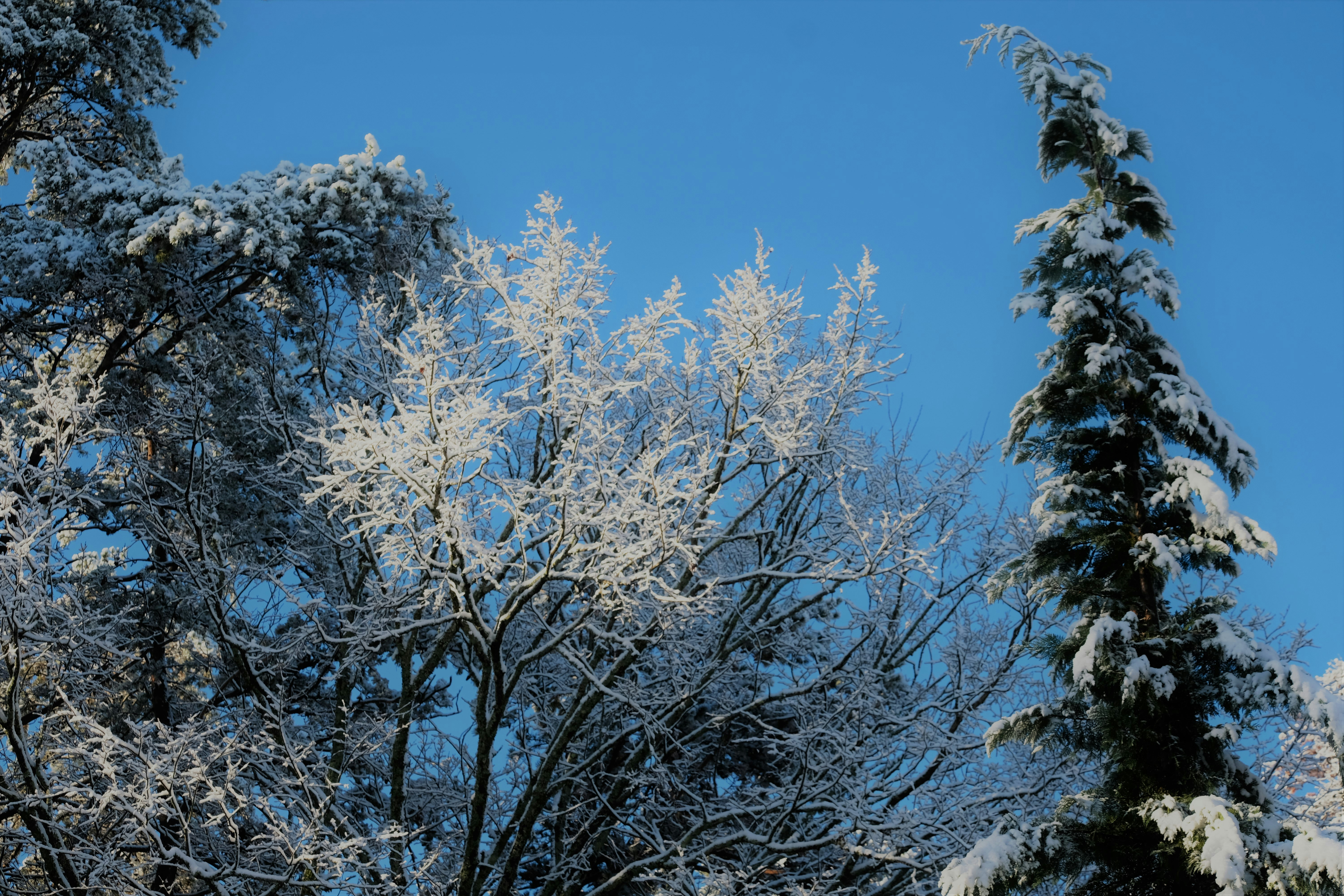 Photo by octoberfalling