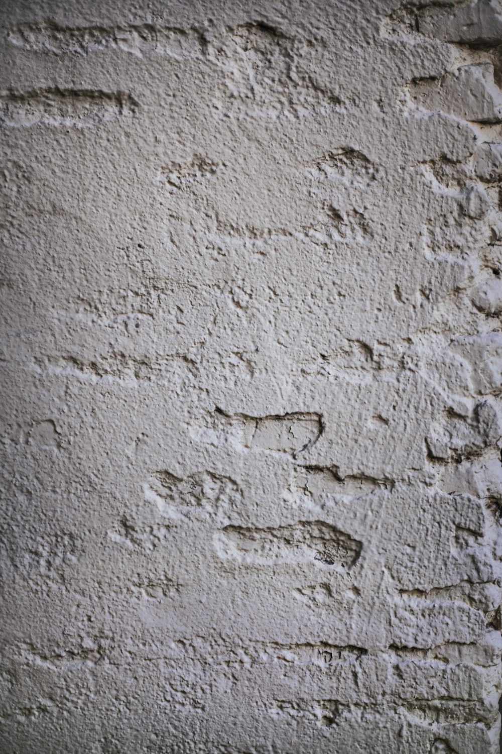Muro di cemento bianco con linee nere