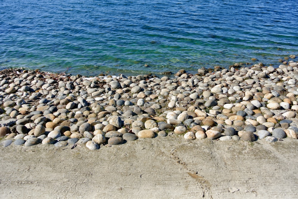 pierres grises et blanches sur le bord de la mer pendant la journée