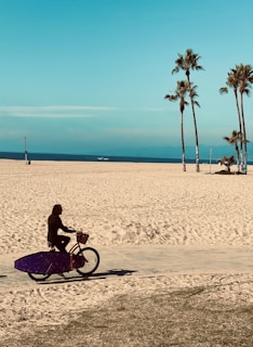 Cyclist riding along the urban bike path with palm trees and ocean view in the background.