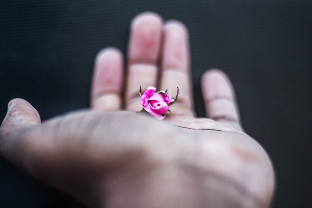 person holding purple and green butterfly ornament