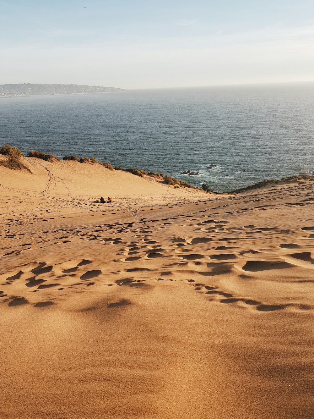 brown sand near body of water during daytime