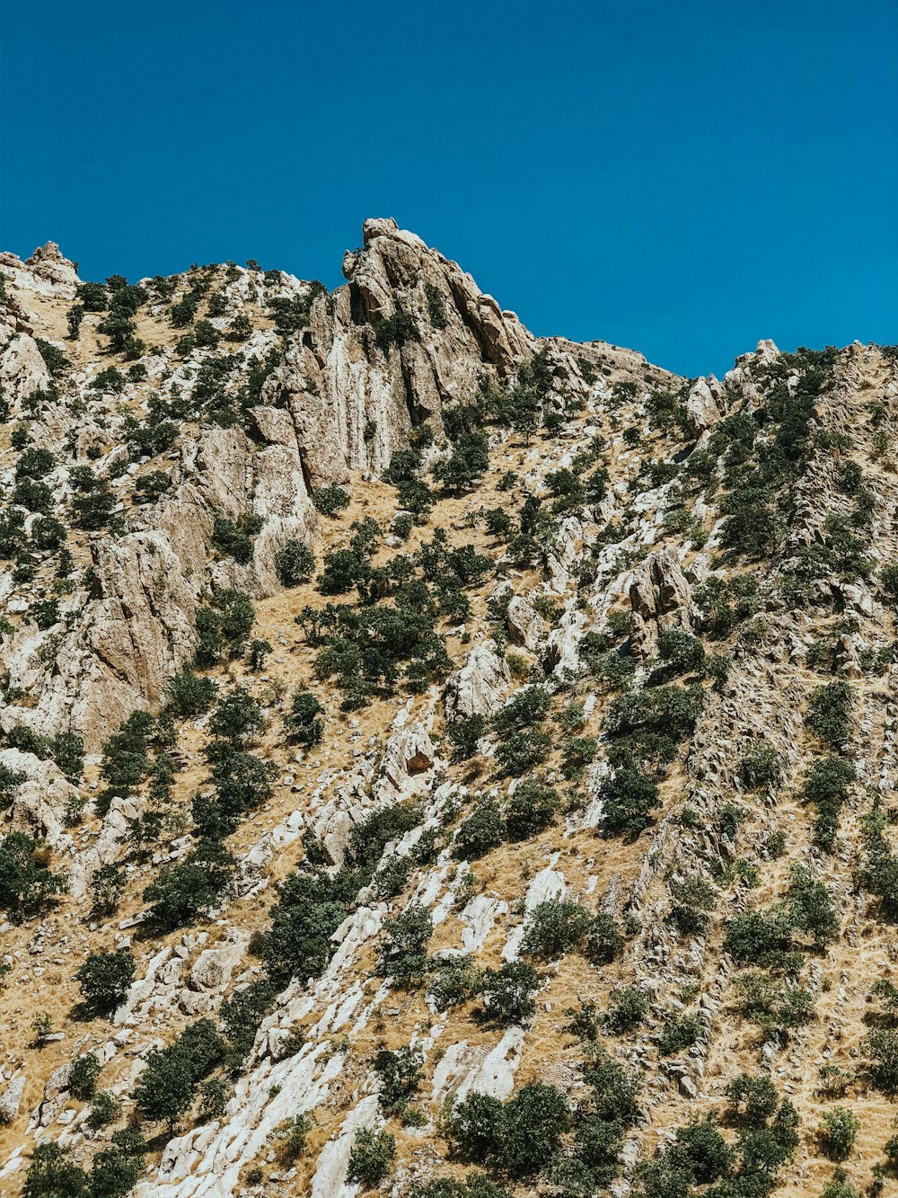 gray rocky mountain under blue sky during daytime