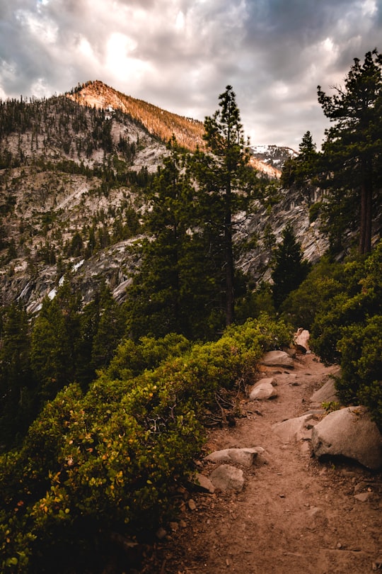 person in gray jacket sitting on rock near green trees during daytime in Tahoe United States