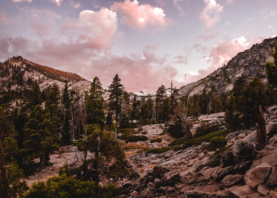 green pine trees on mountain under cloudy sky during daytime in Tahoe United States