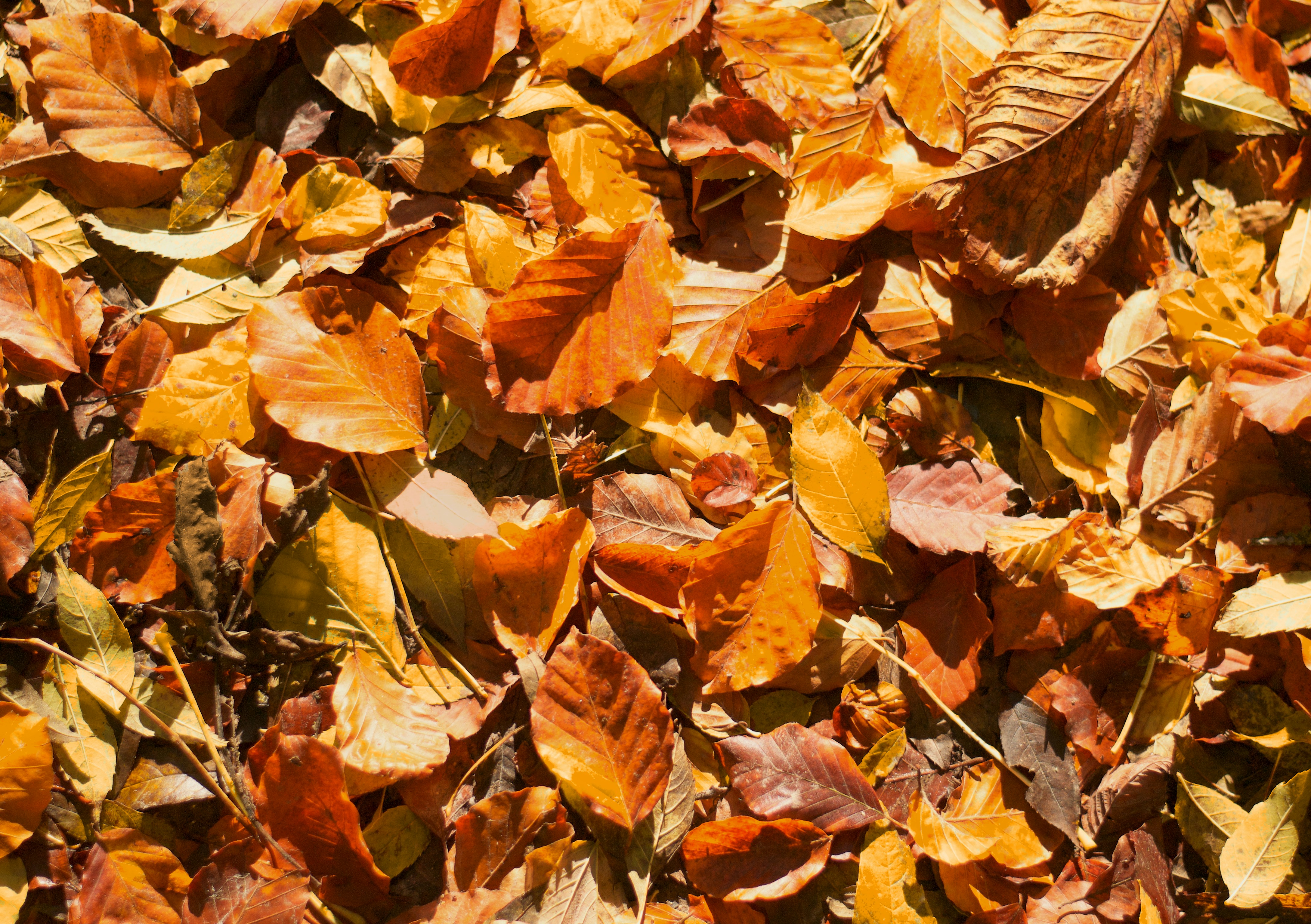 Photo by englandtravels