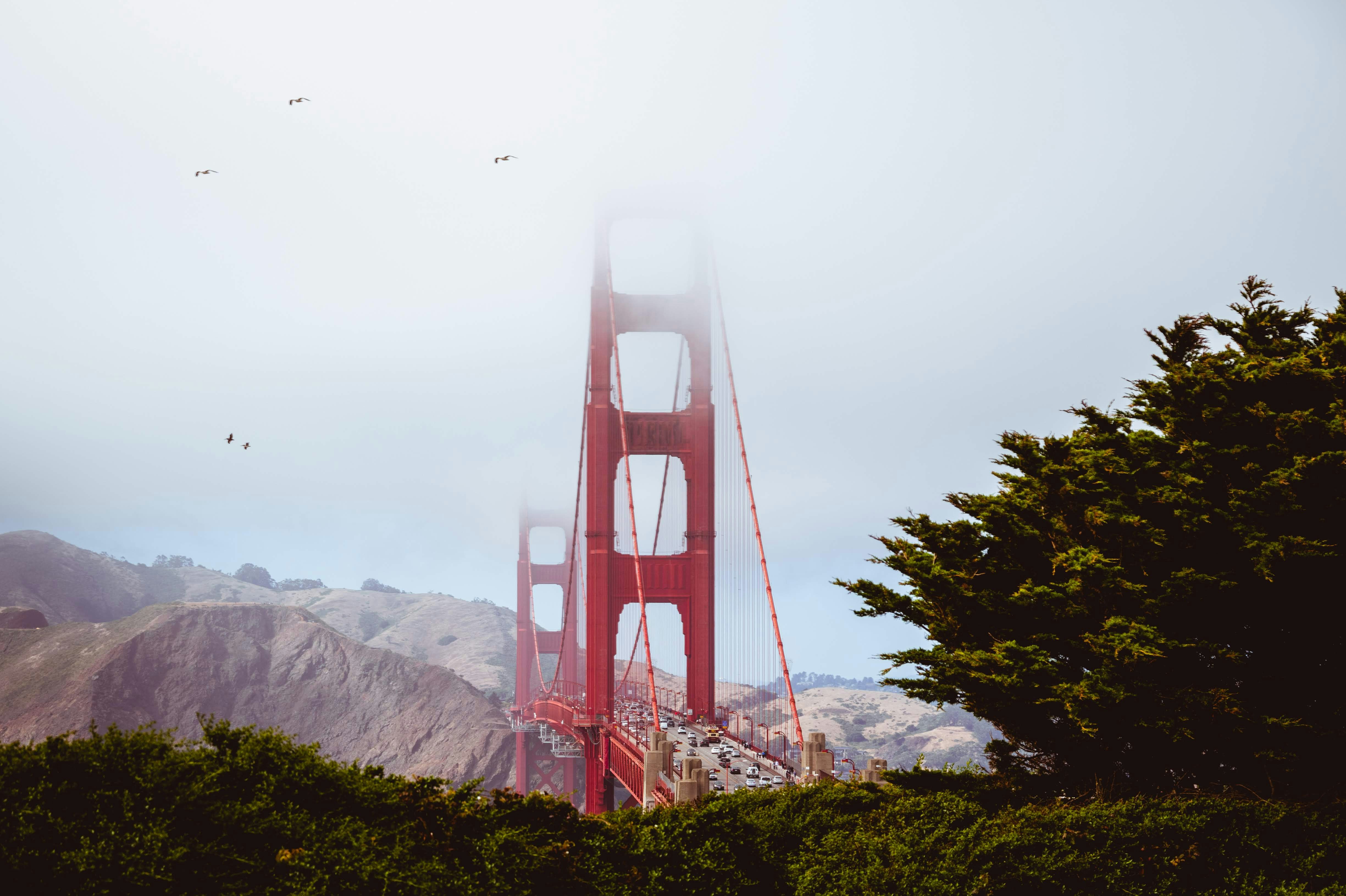 Photo by krummly