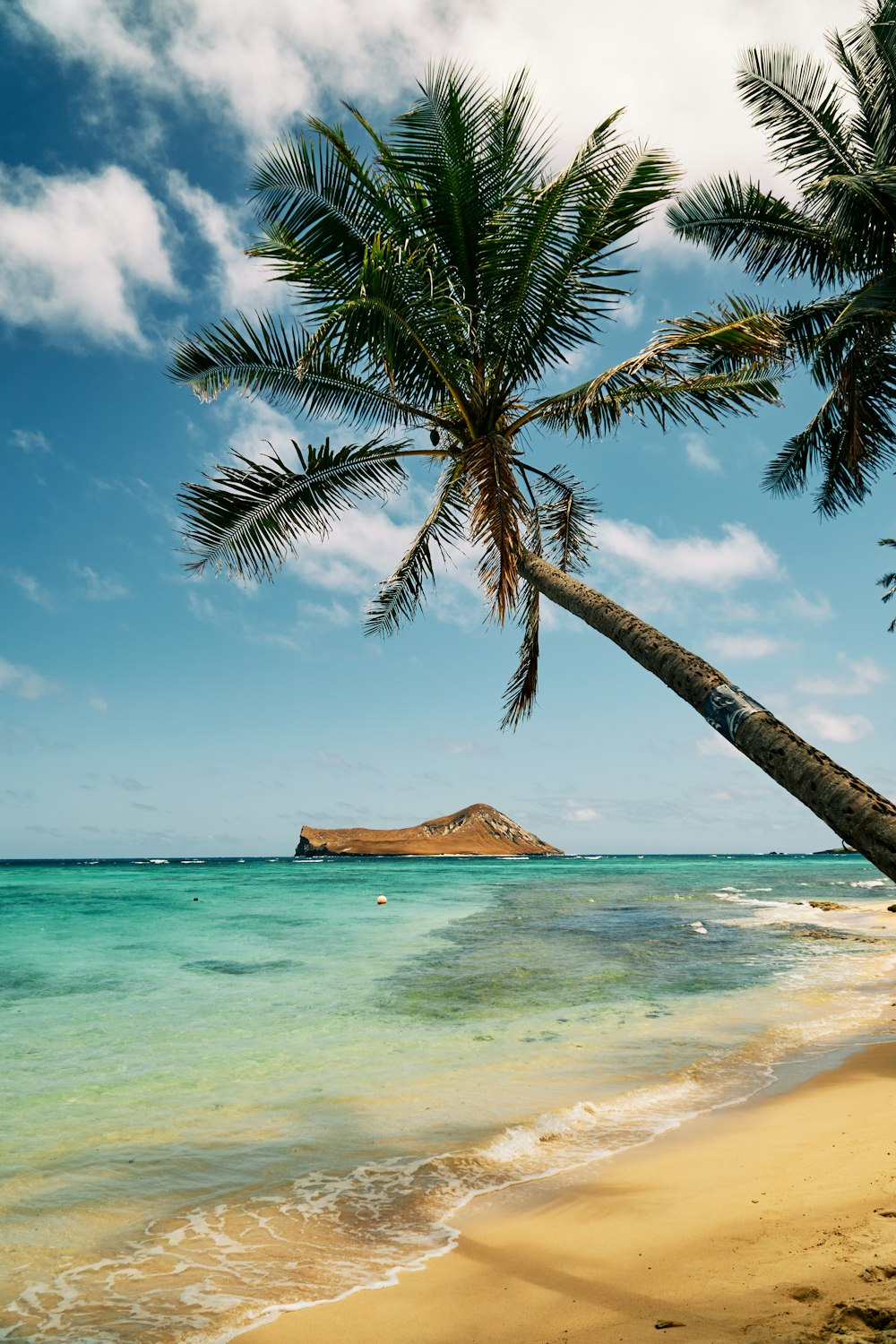 Hawaii Wallpapers Free Hd Download 500 Hq Unsplash