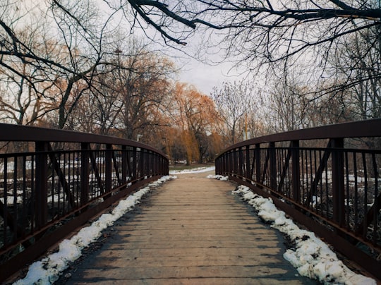 brown wooden bridge near bare trees during daytime in Brampton Canada