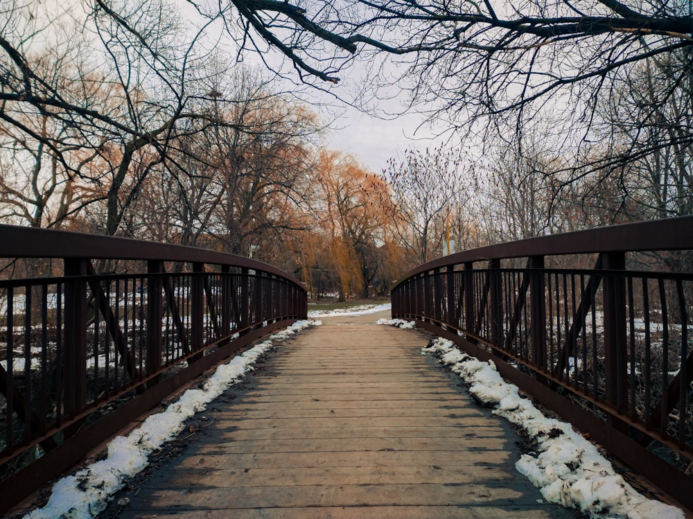 brown wooden bridge near bare trees during daytime