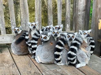 madagascar sailing adventure