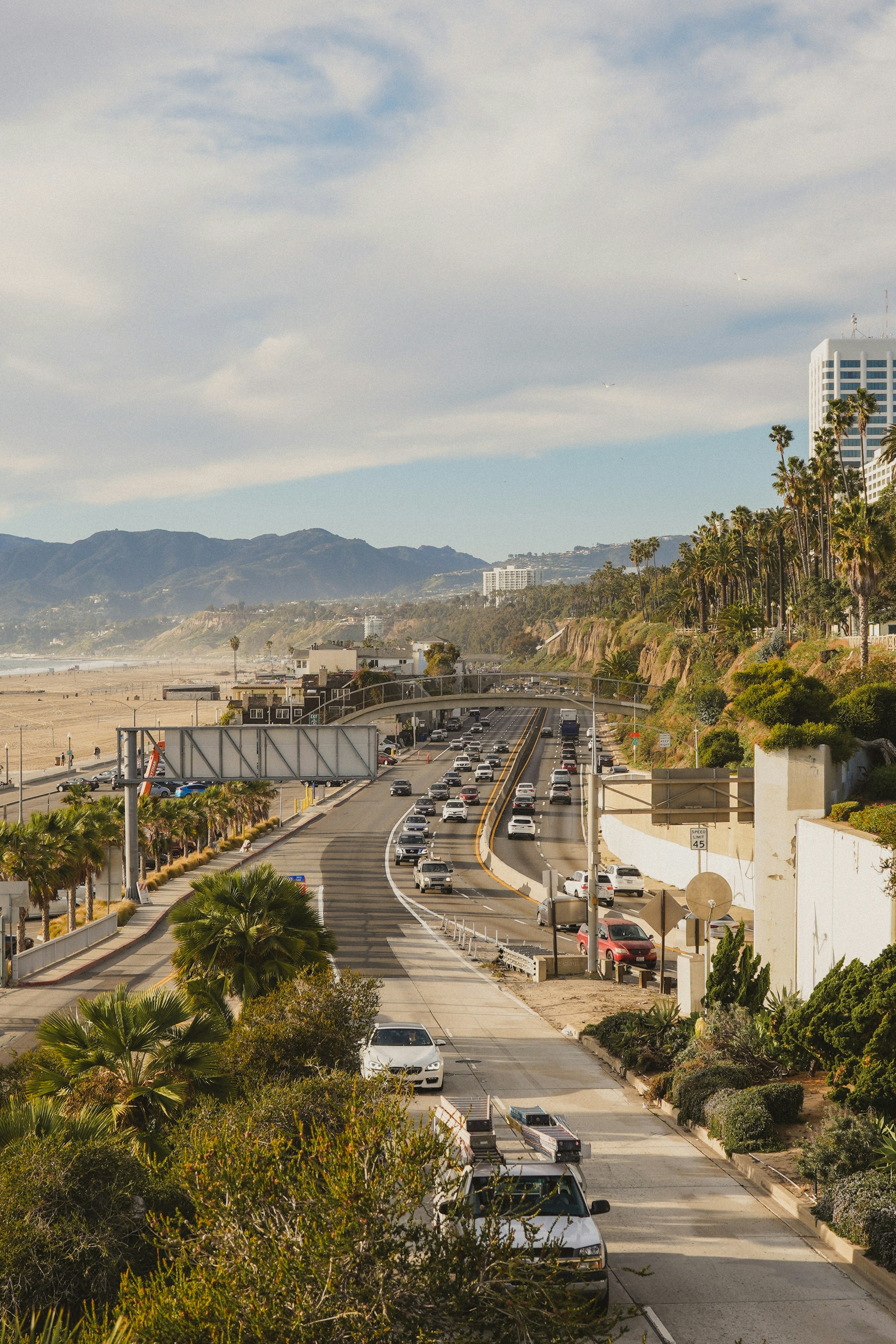 Autos auf der Straße in der Nähe von Bäumen und Gebäuden während des Tages
