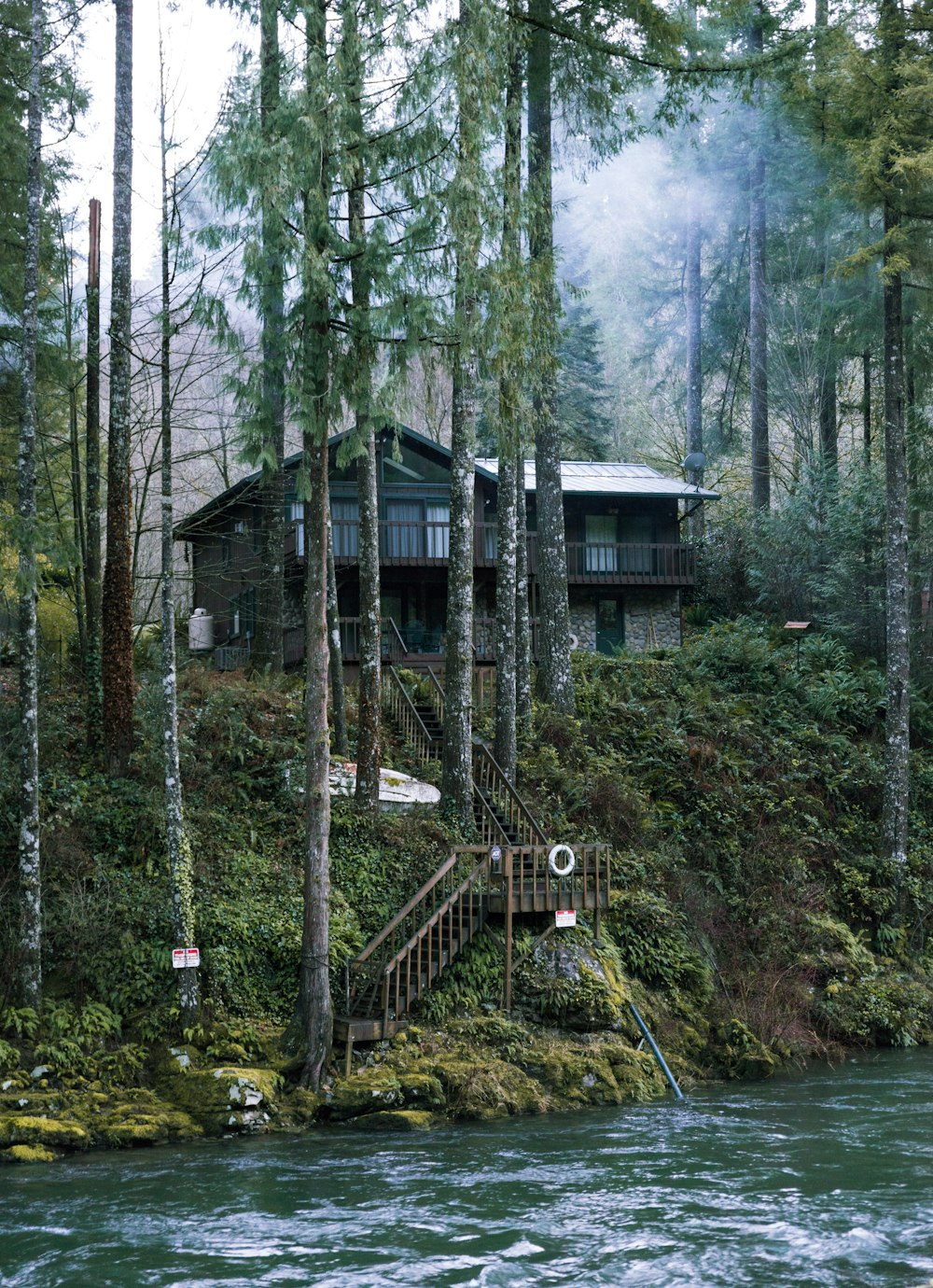 weißes und schwarzes Holzhaus im Wald