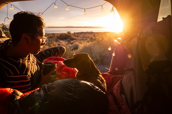 Tent for Camping With Dog