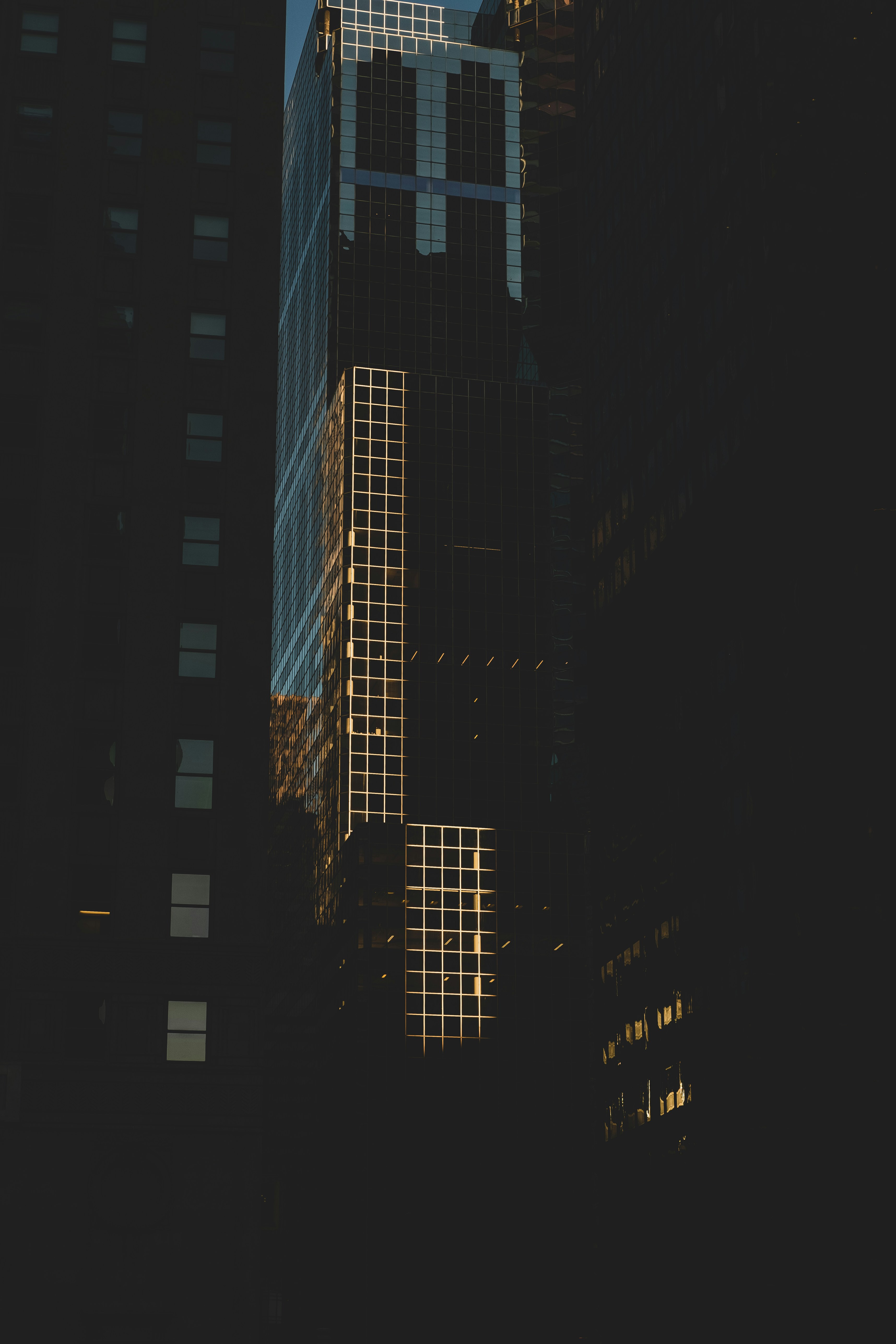 Photo by goodbetterbetts