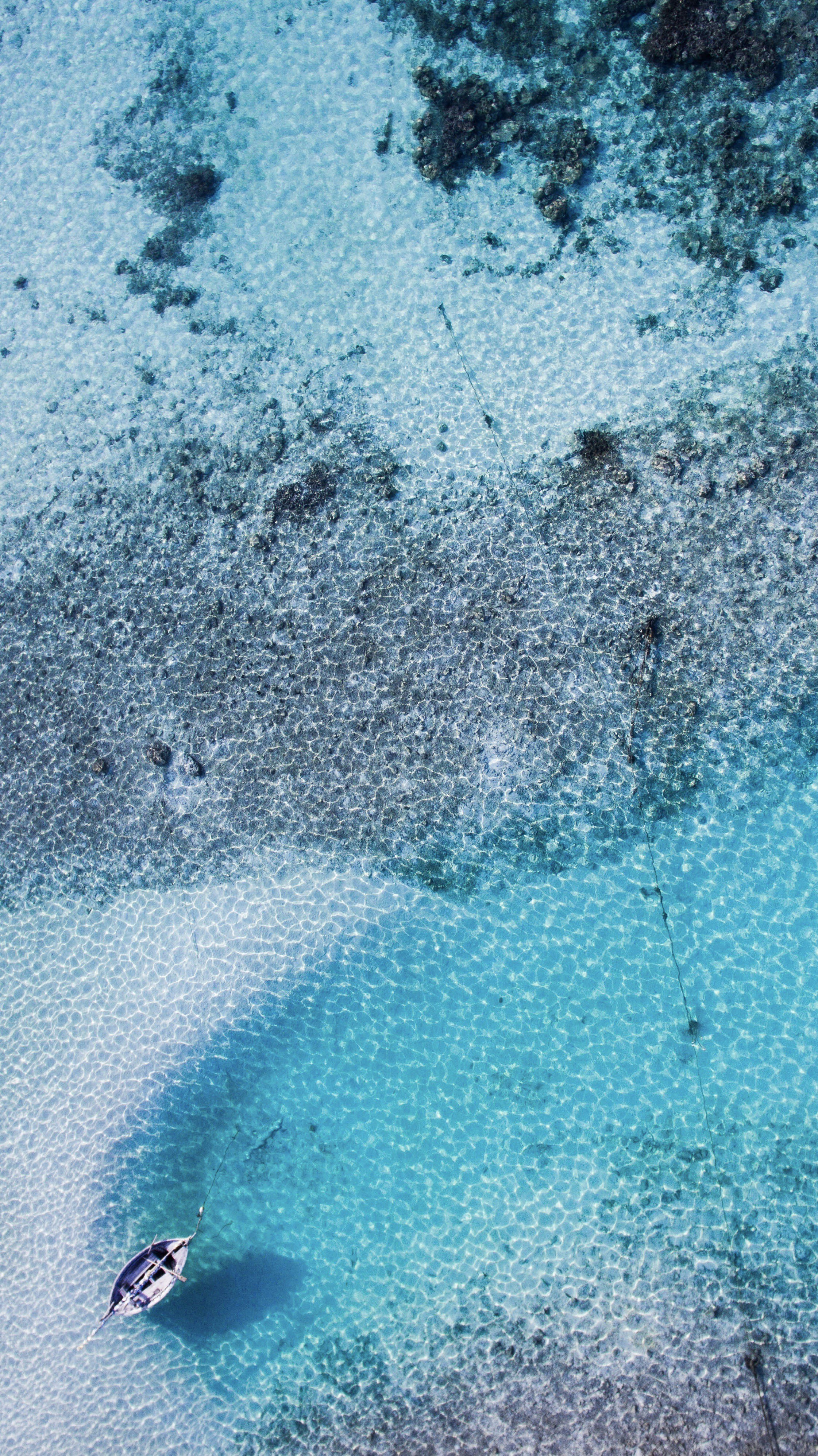 Photo by mohamed_mukarram_photos