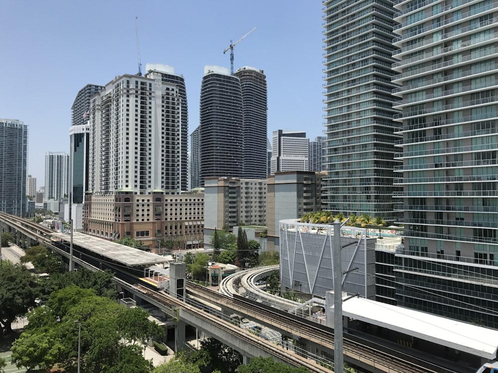 white and gray city buildings during daytime