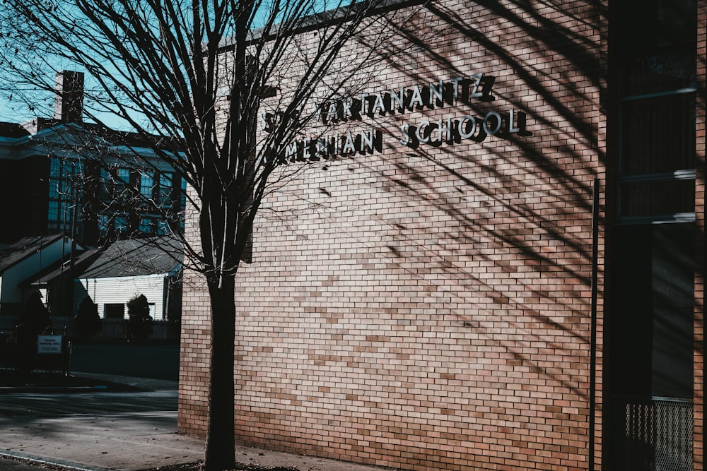 bare tree beside brown brick wall