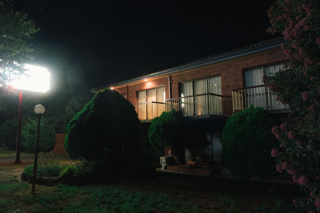 brown wooden house near green trees during night time