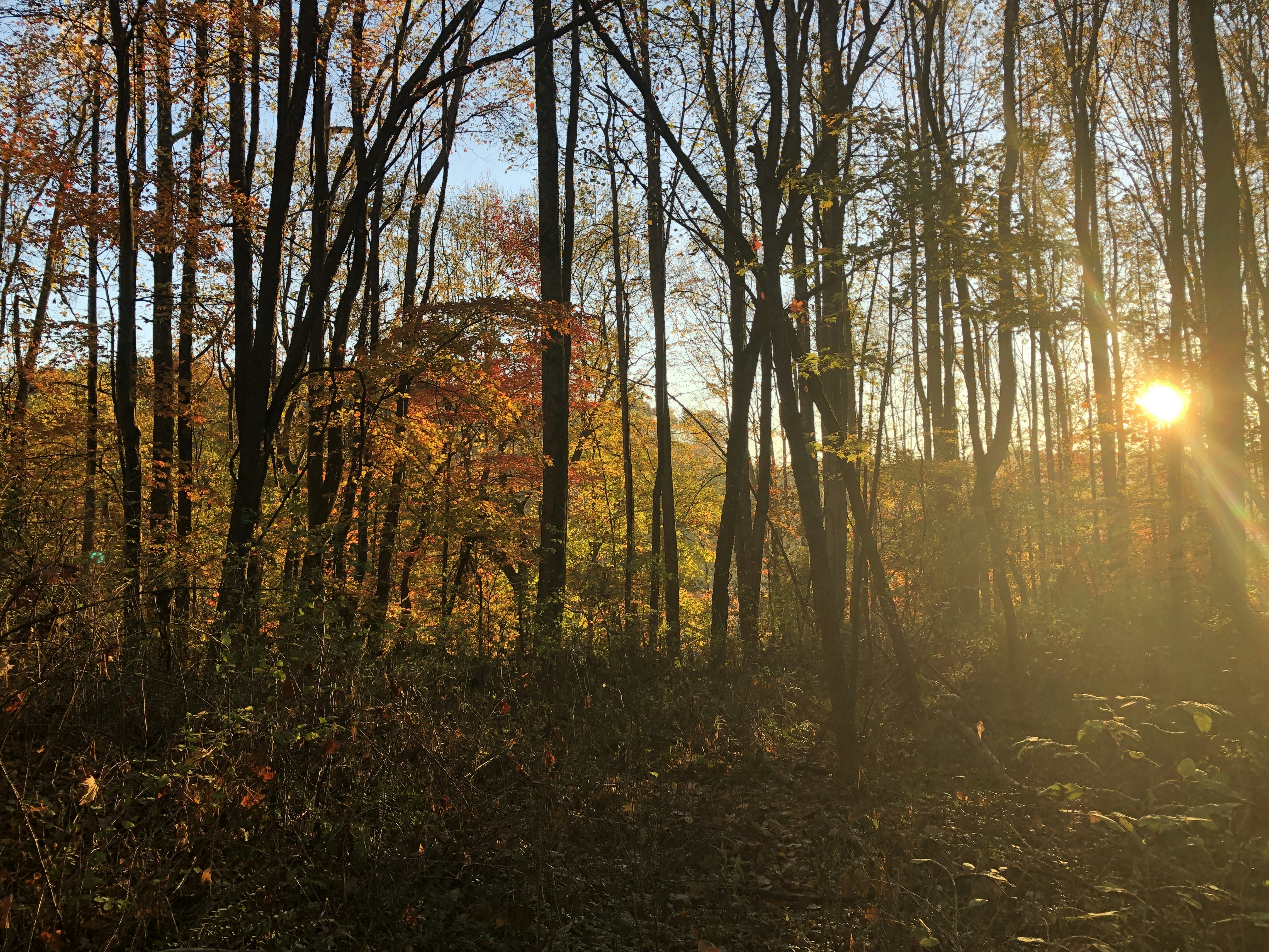 BKW destination photo