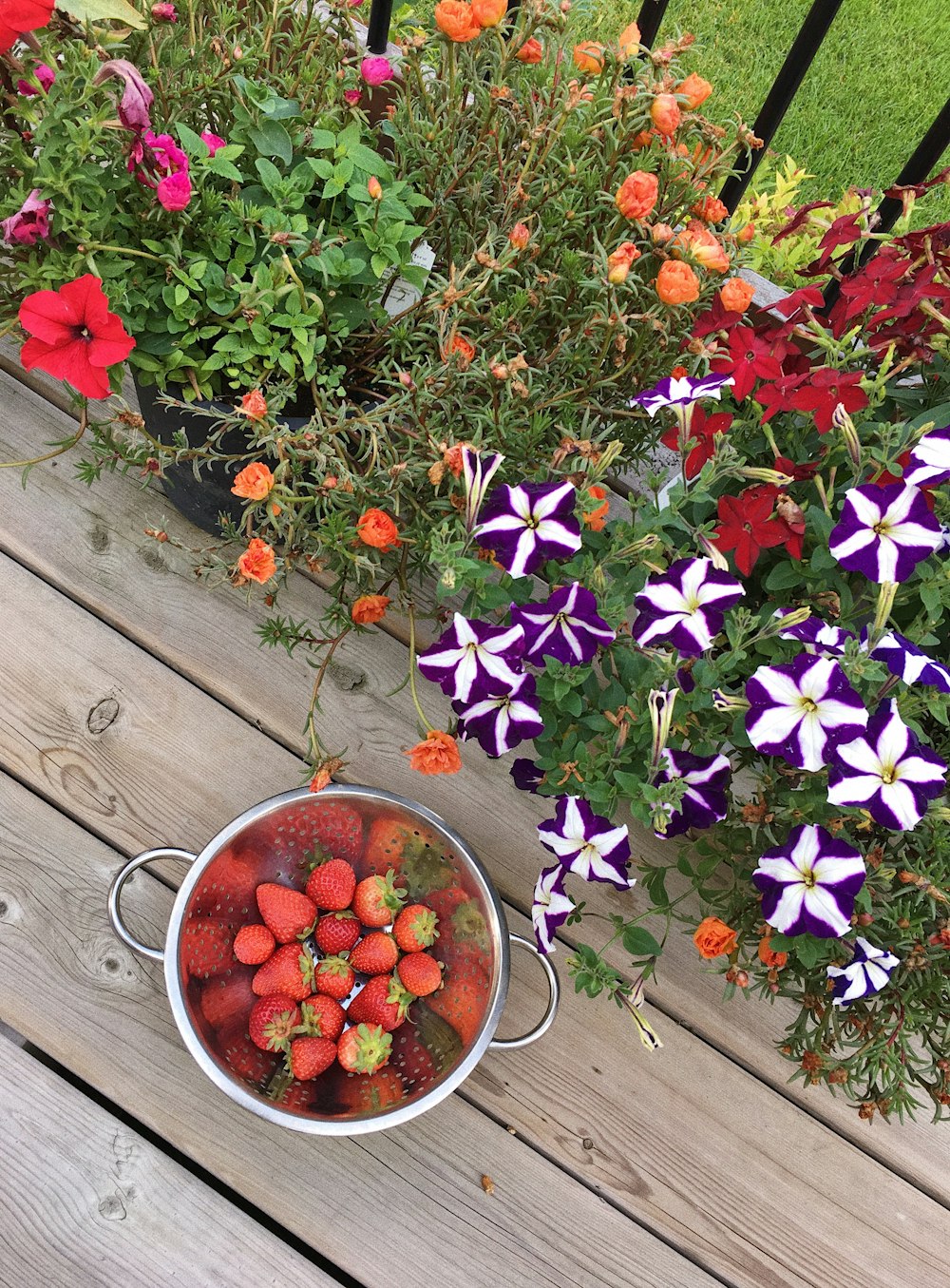 purple and white flowers in white ceramic bowl